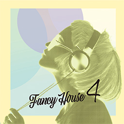 Fancy House Vol.4
