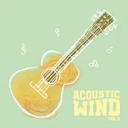 Acoustic Wind Vol.3